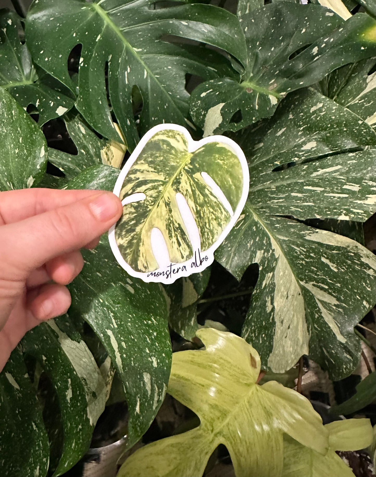 Plant Stickers (Small)