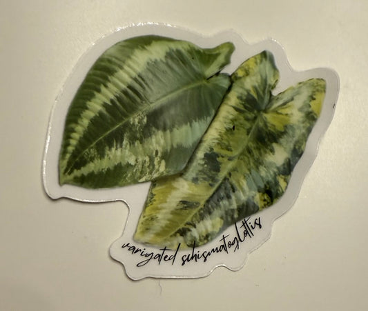 Plant Stickers (Small)