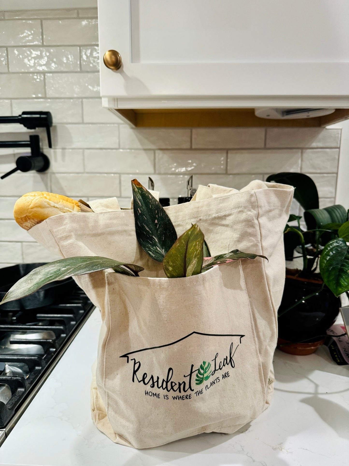 Shopping Tote (Small)